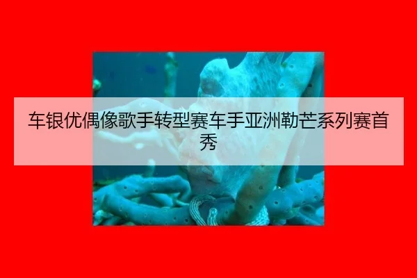 车银优偶像歌手转型赛车手亚洲勒芒系列赛首秀
